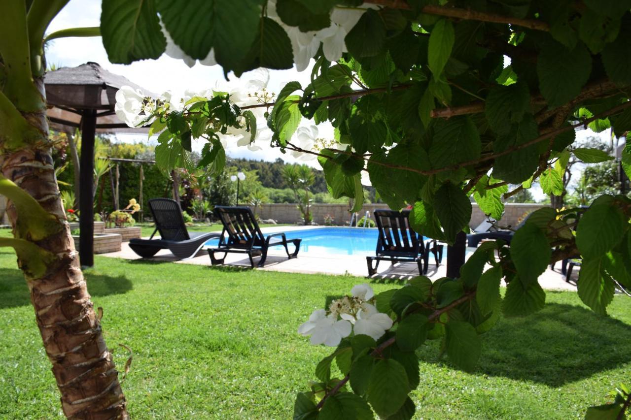 Alagoas4Family - Country House Arouca Exteriér fotografie